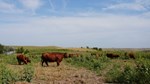 PattenRanch0824
