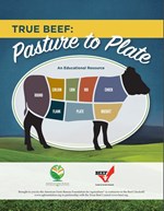 true-beef-lesson-plan_09-09-2020-56.jpg